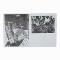 LANE STEWART: GREY AREA ZINE