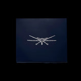 JS Aurelius - Goofin' Drones (Remastered 2026) [Limited Edition Disc]